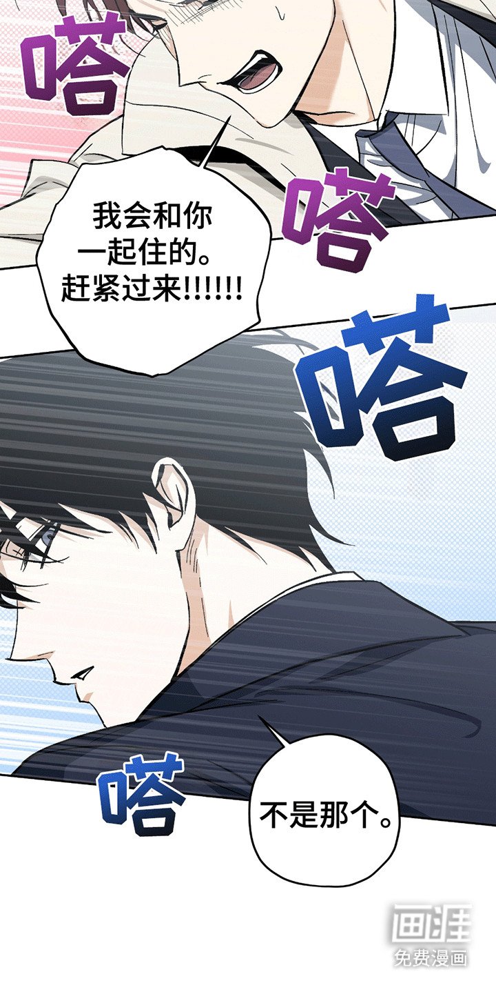 第21章：喜欢你（完结）