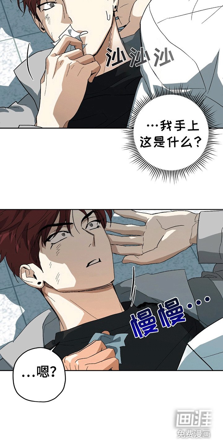 第3章：背上的老虎