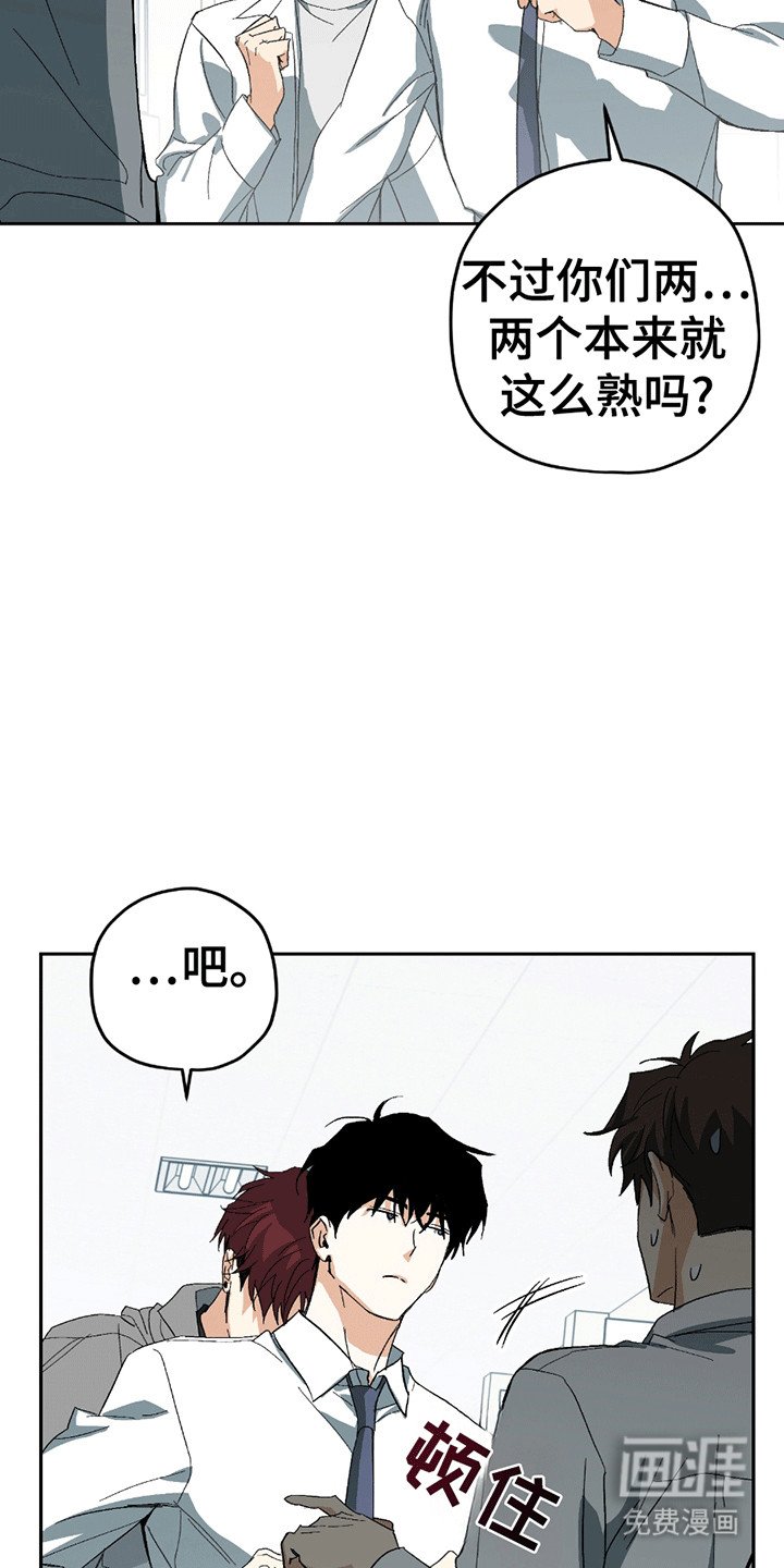 第3章：背上的老虎