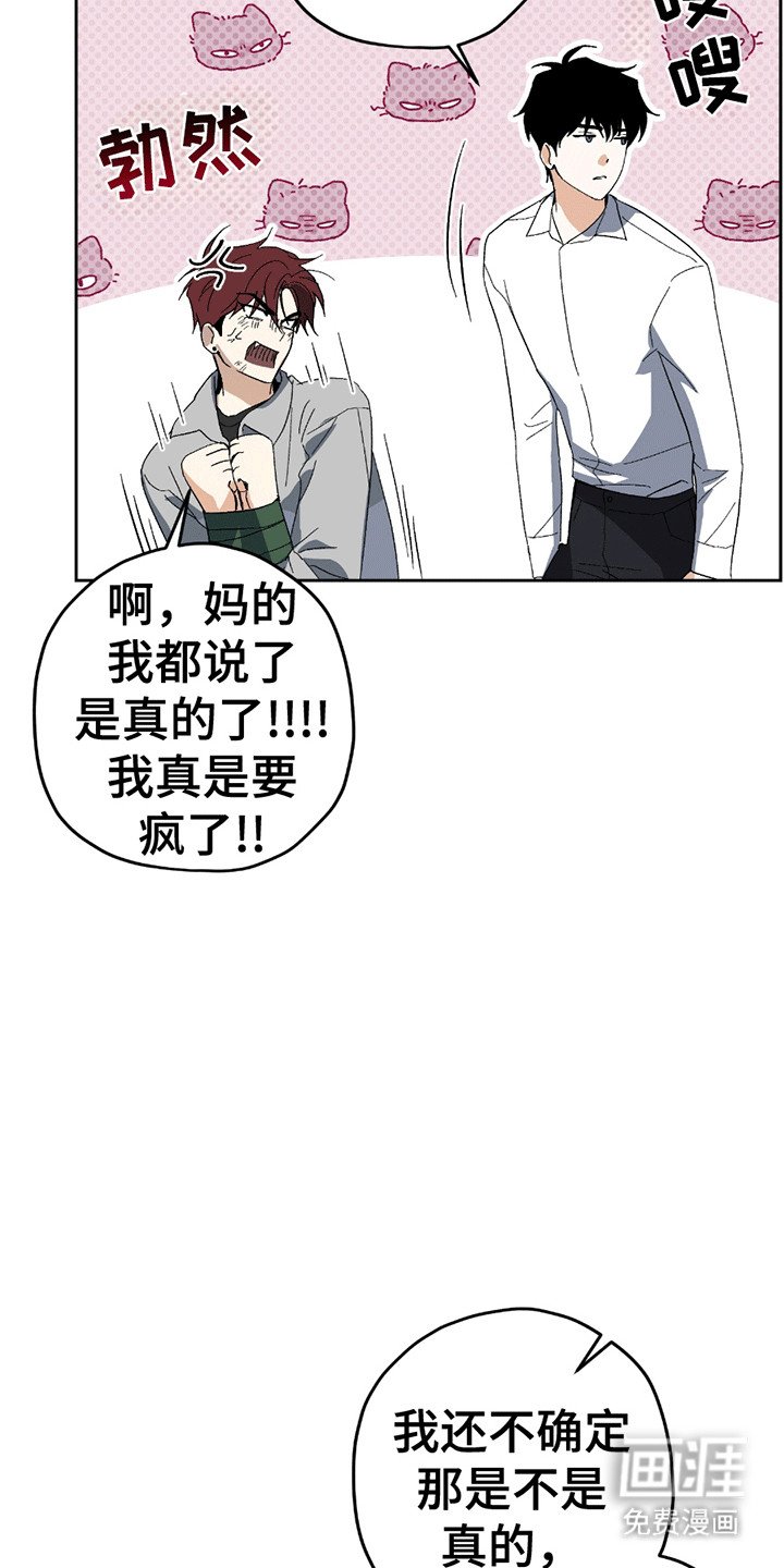 第5章：小学鸡吵架