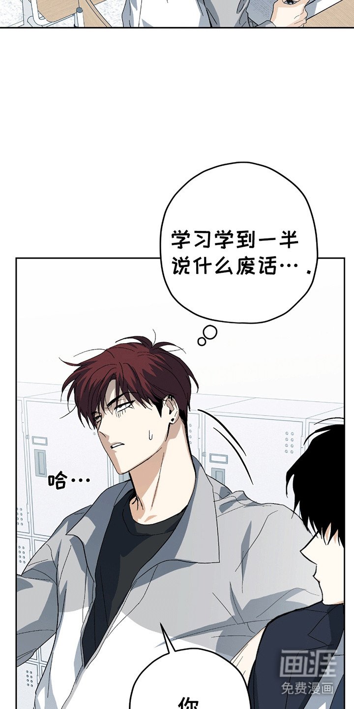 第6章：恼羞成怒