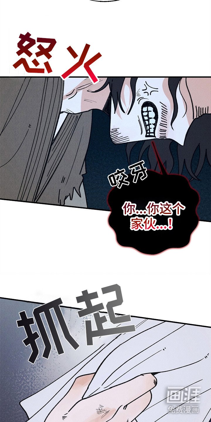 第19章：冲突