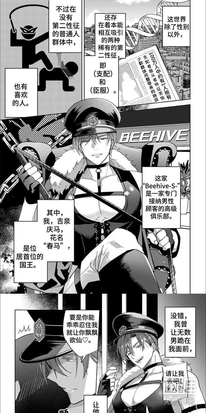 第1章：国王