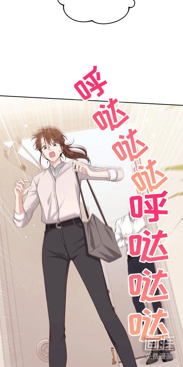 第24章：小猫咪