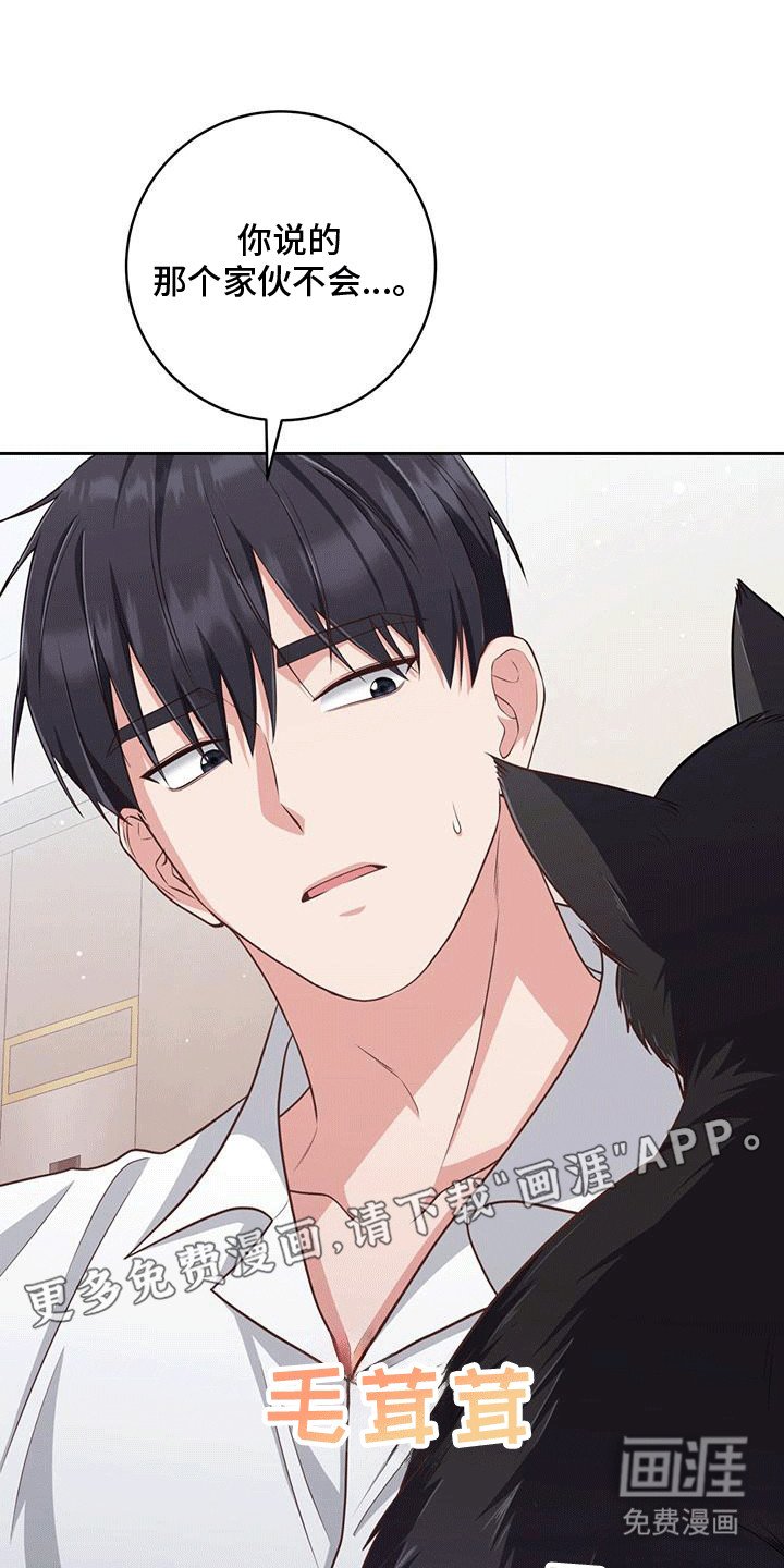 第24章：小猫咪