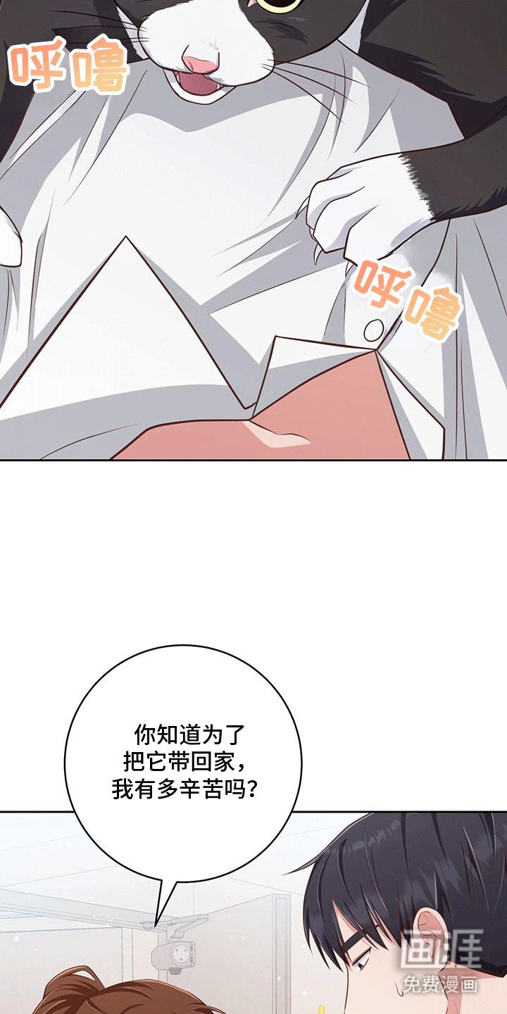 第24章：小猫咪