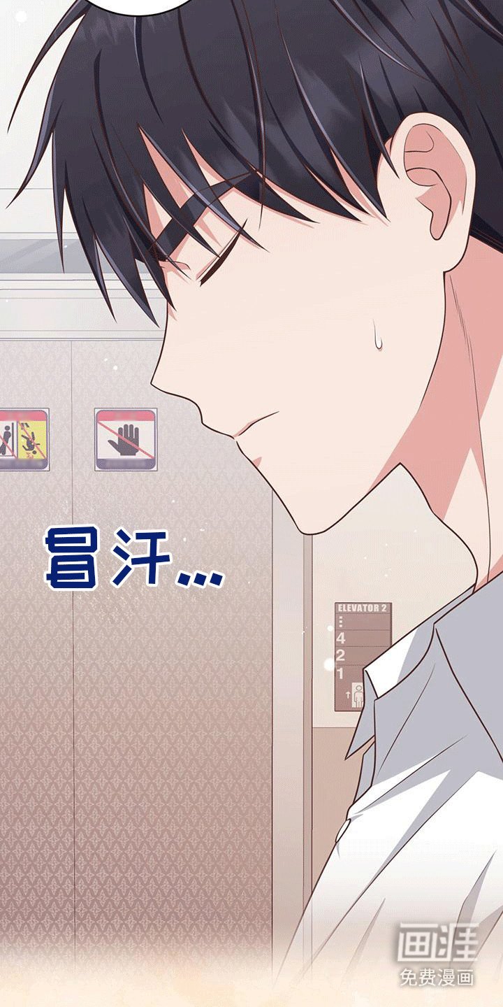 第24章：小猫咪
