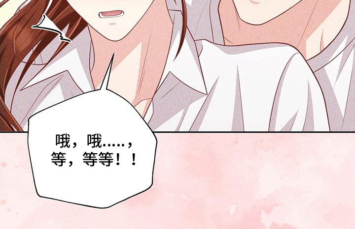 第24章：小猫咪