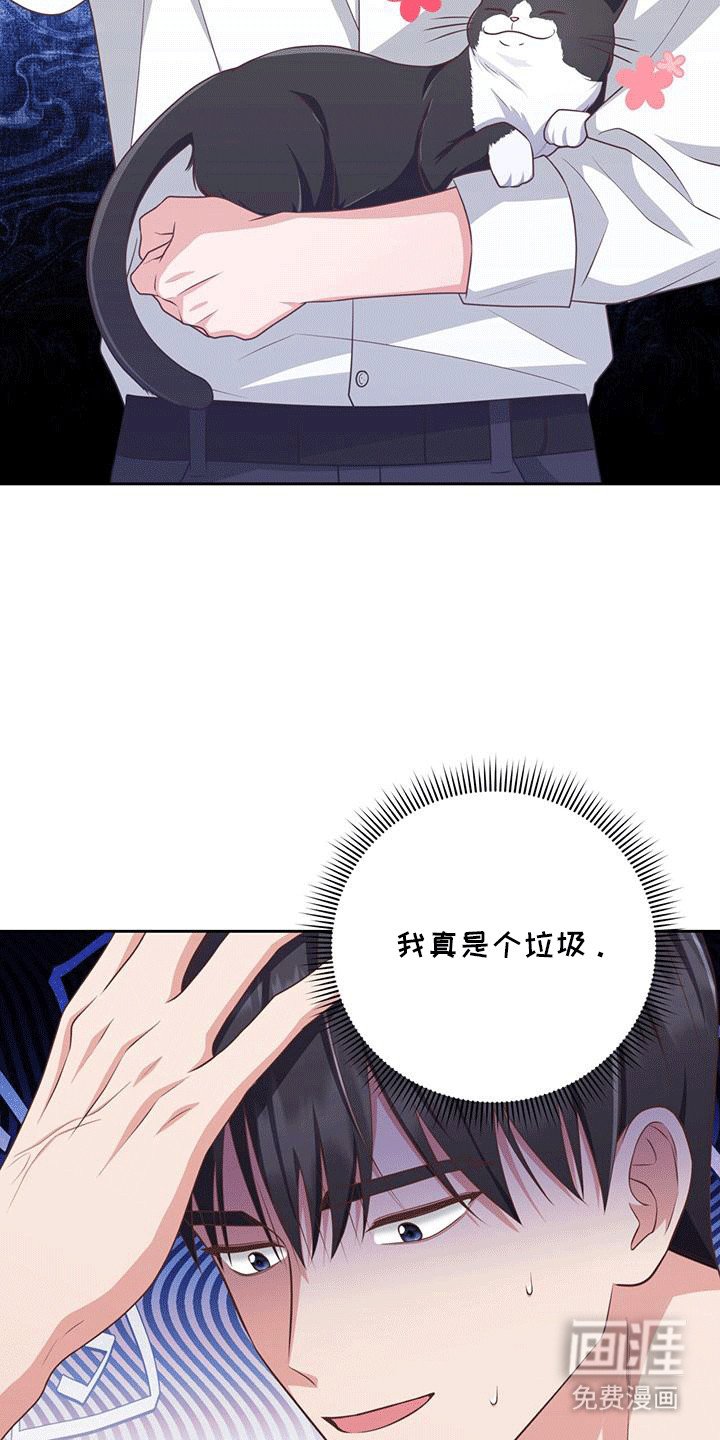 第24章：小猫咪