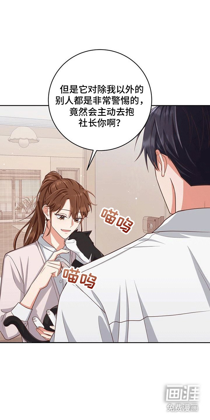 第25章：物以类聚