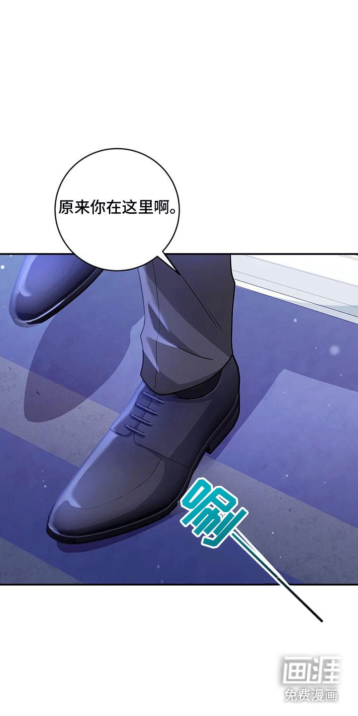 第29章：质问