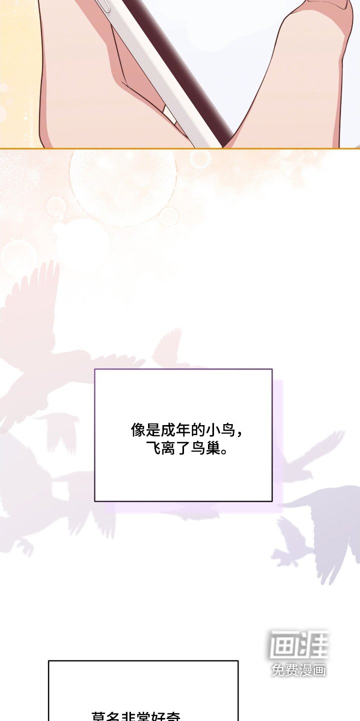 第42章：资助人