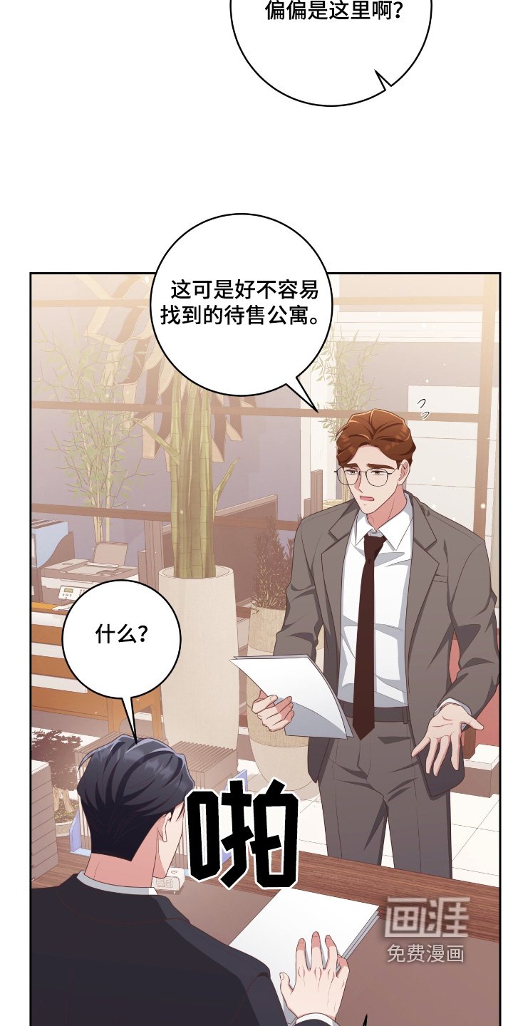 第42章：资助人
