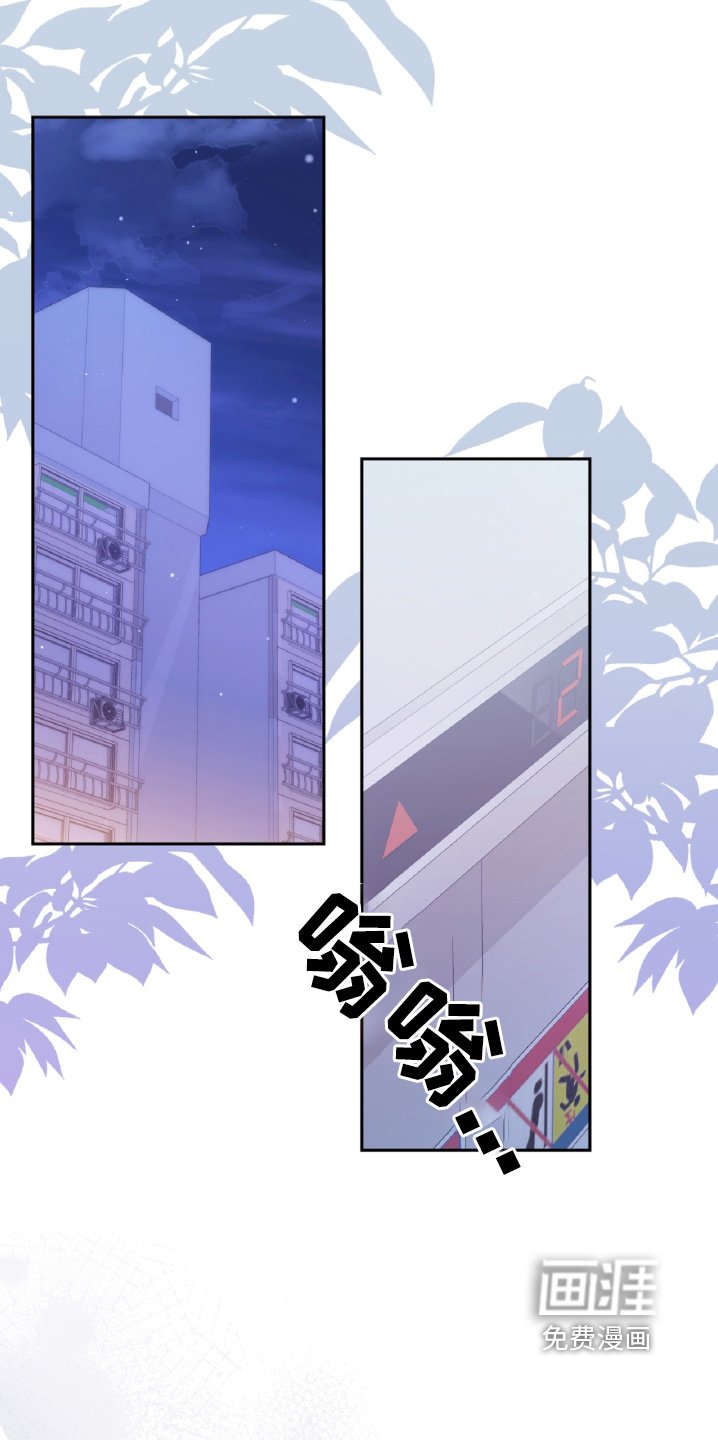 第51章：闭嘴