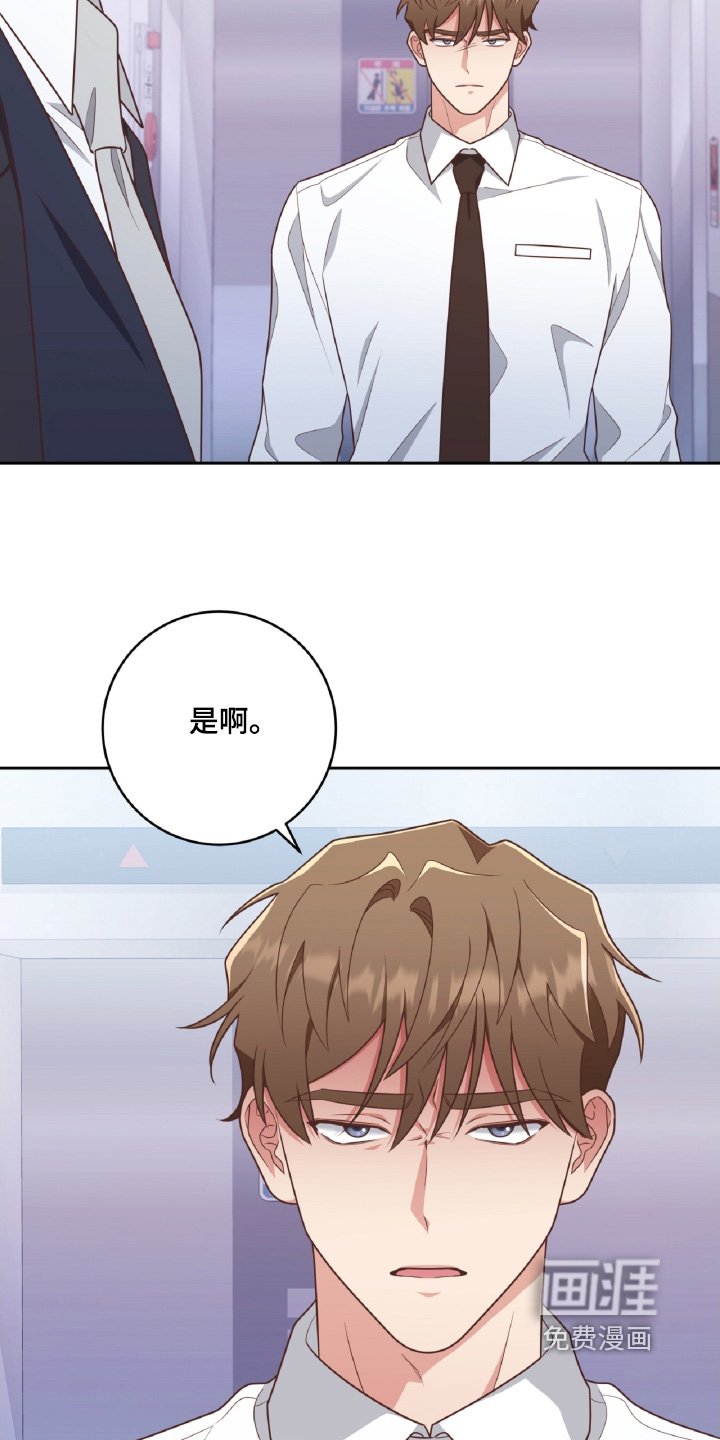 第52章：你怎么了