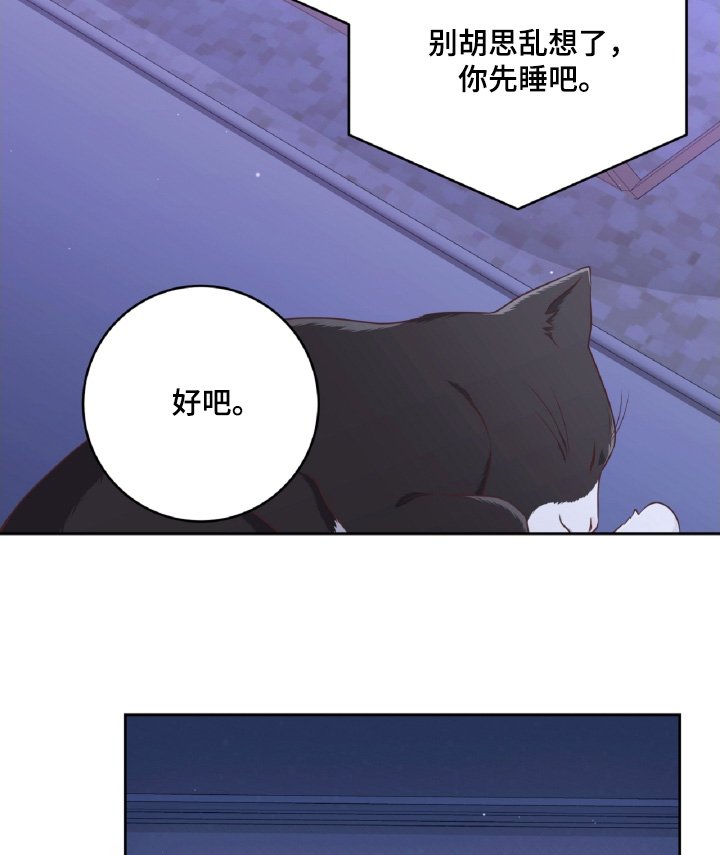 第52章：你怎么了