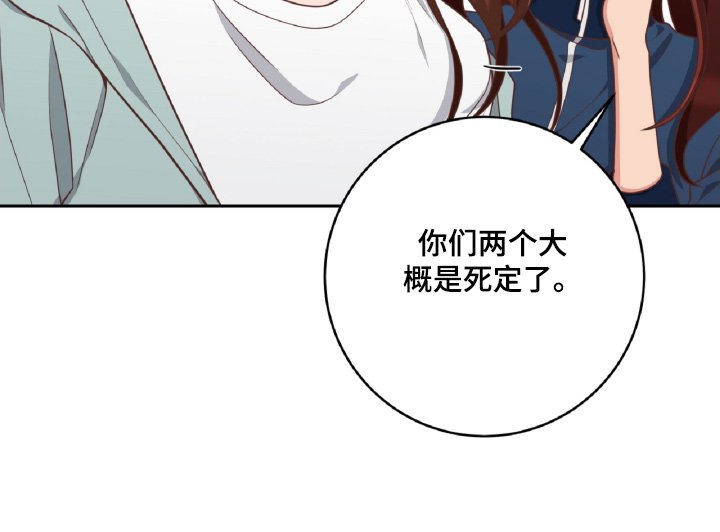 第67章：我们是搭档