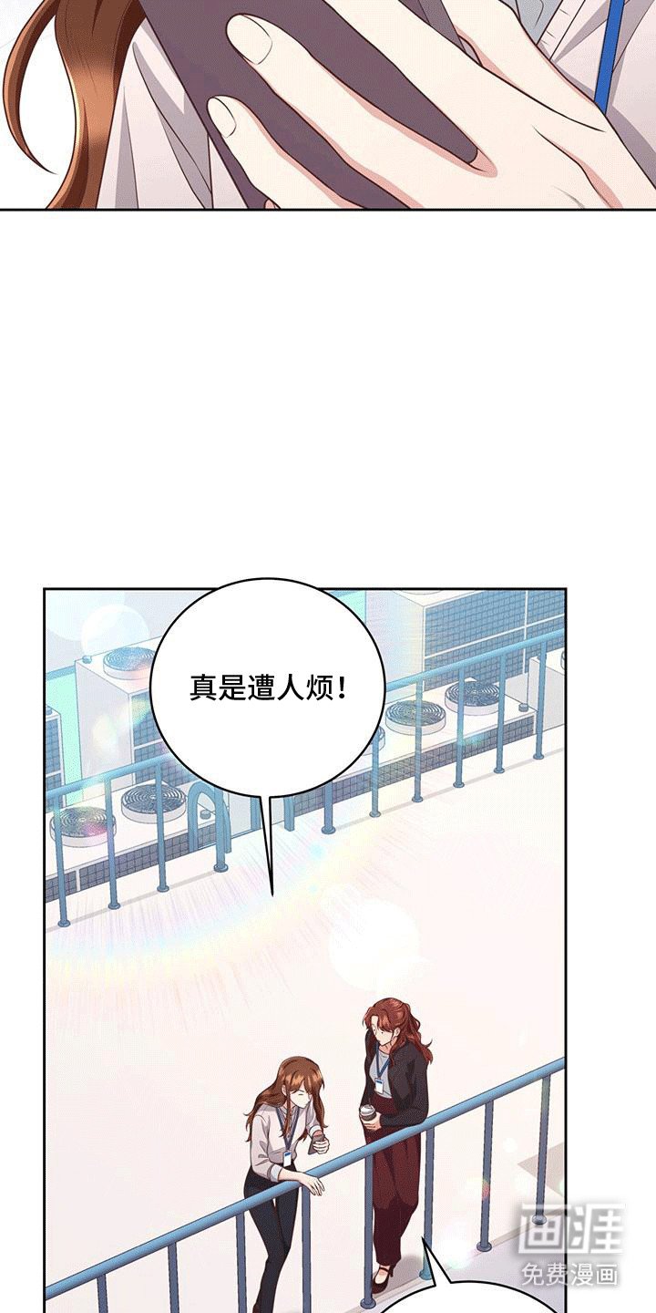 第7章：理想型