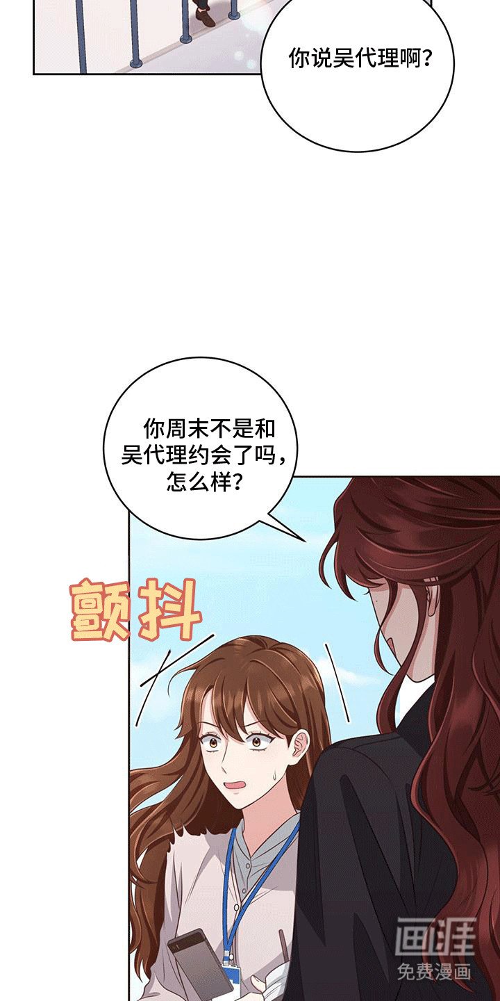第7章：理想型