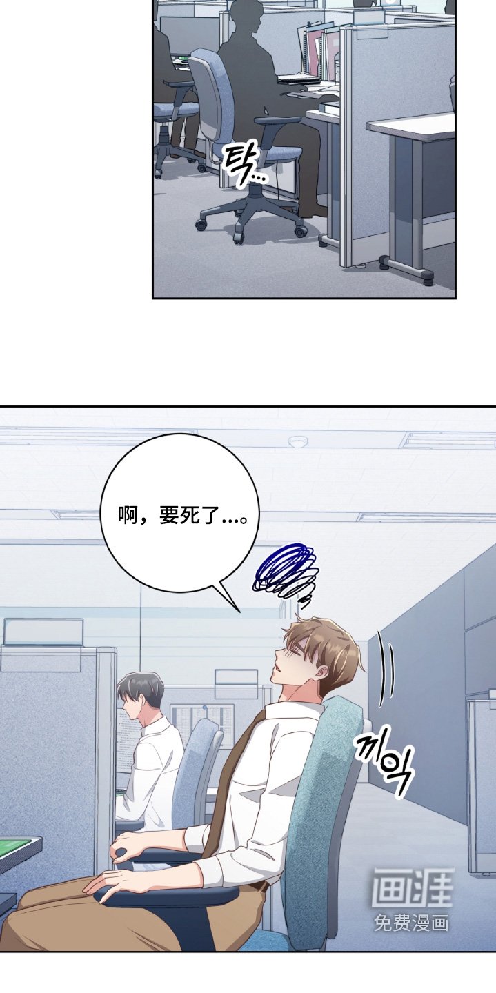 第81章：打算说清楚