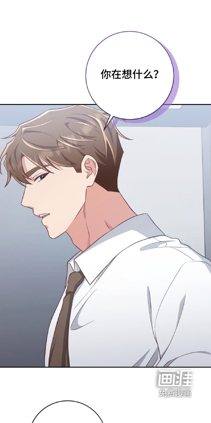 第81章：打算说清楚