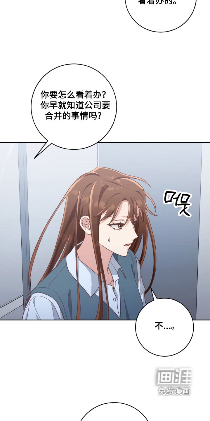 第81章：打算说清楚