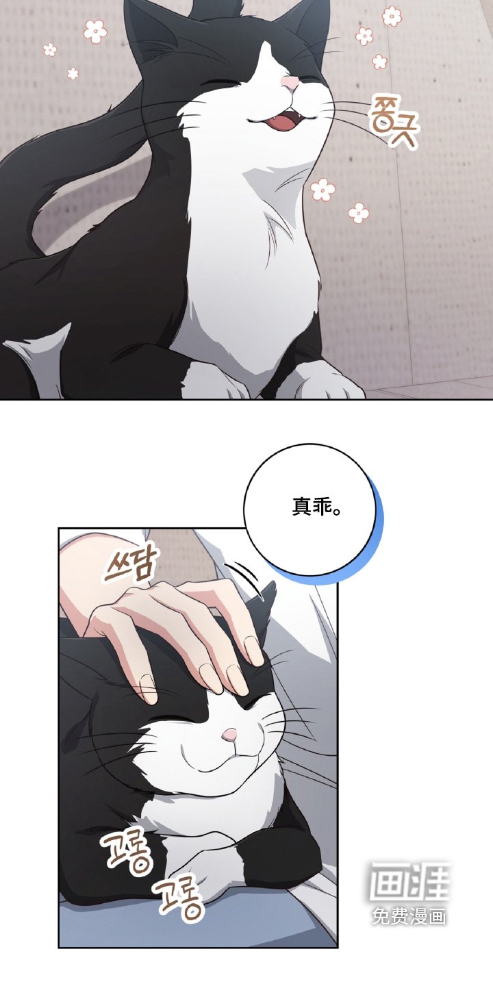 第92章：接电话