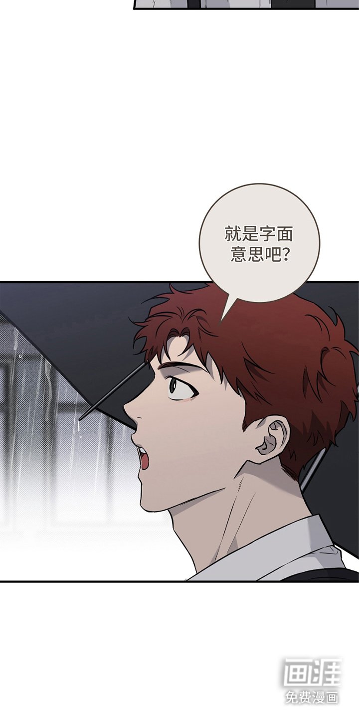 第10章：字面意思