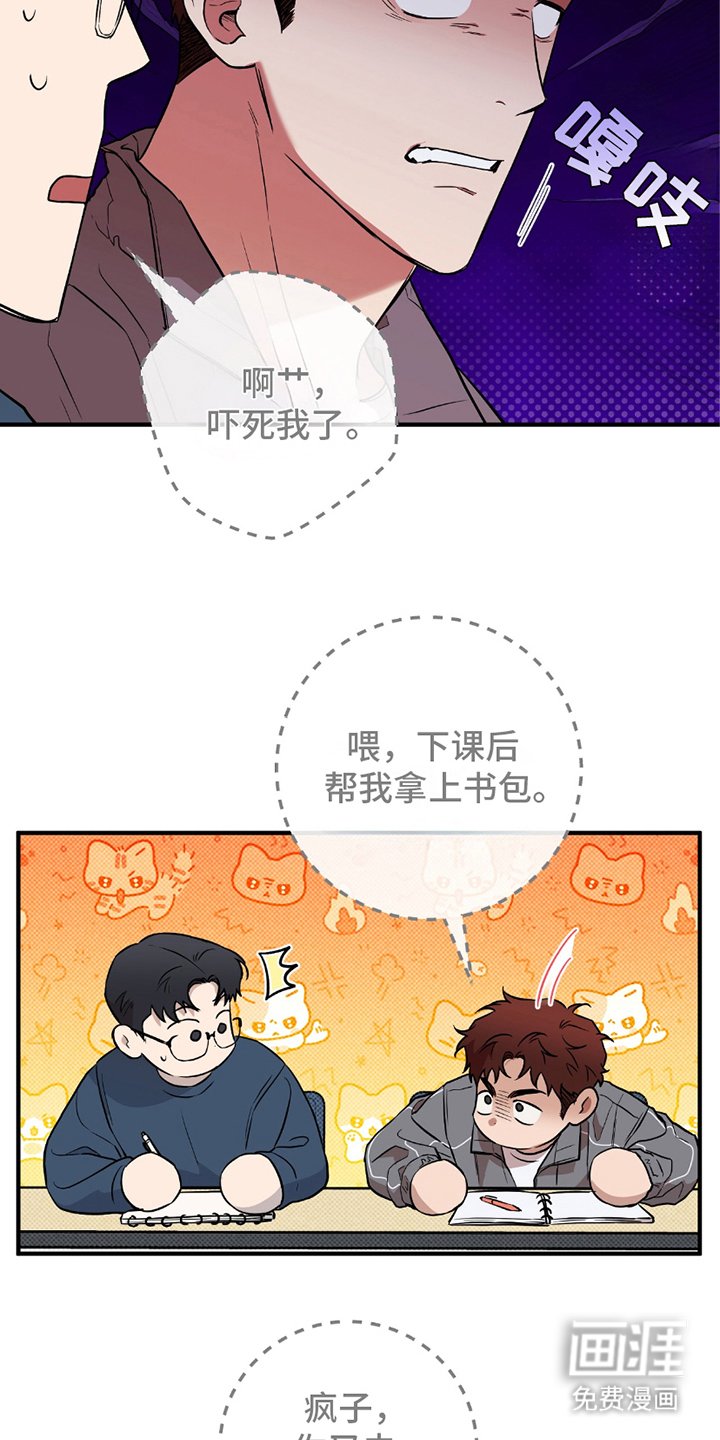 第14章：可疑之处