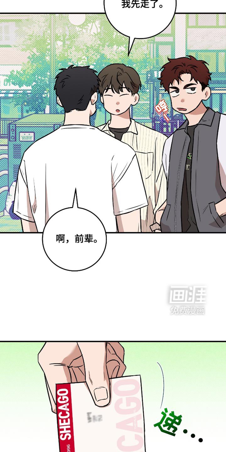 第31章：选择