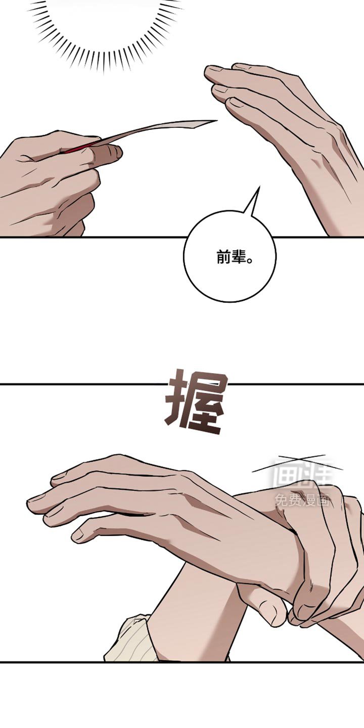 第31章：选择