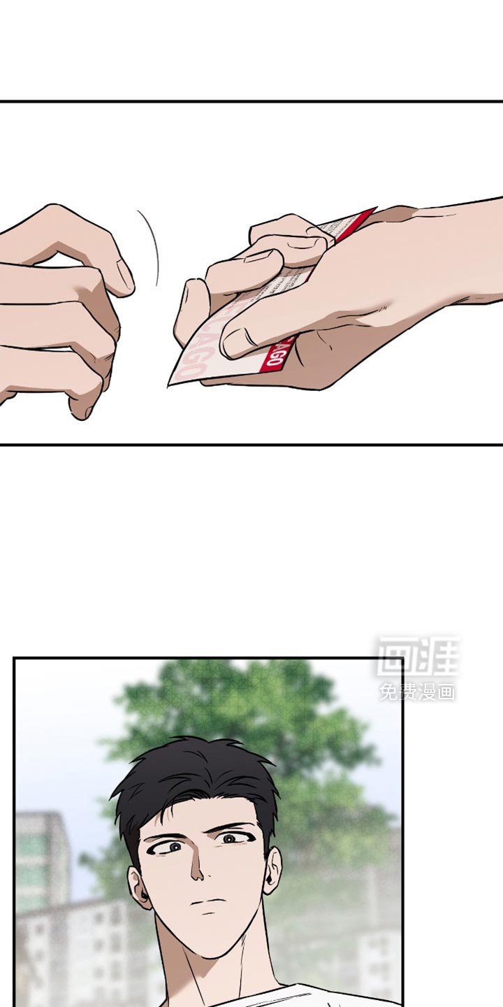 第31章：选择