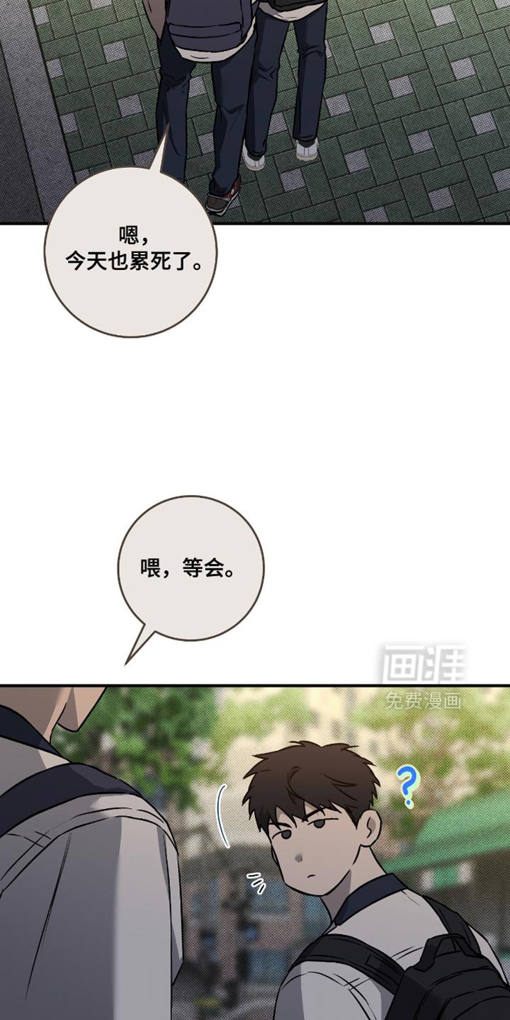 第33章：一起去看比赛
