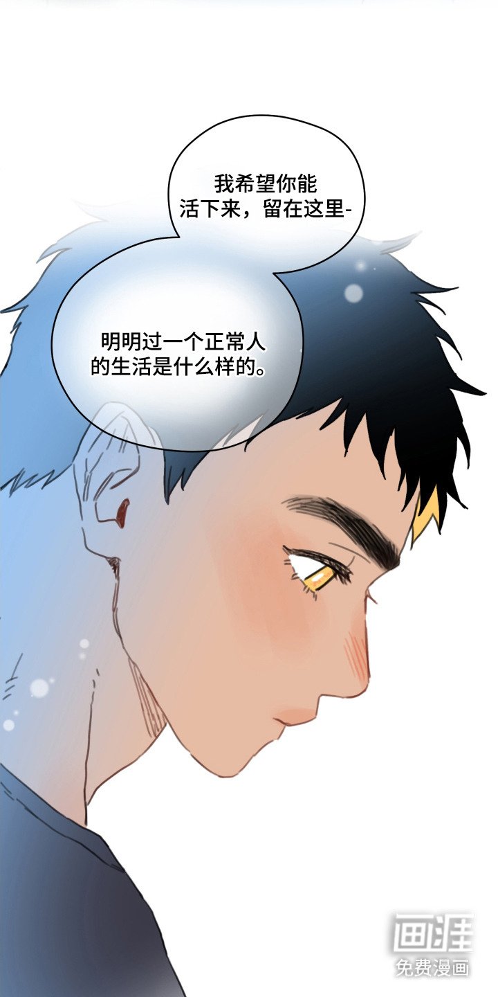 第13章：局势逆转