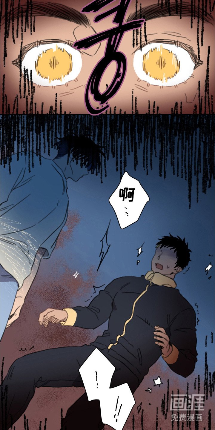 第15章：发热期
