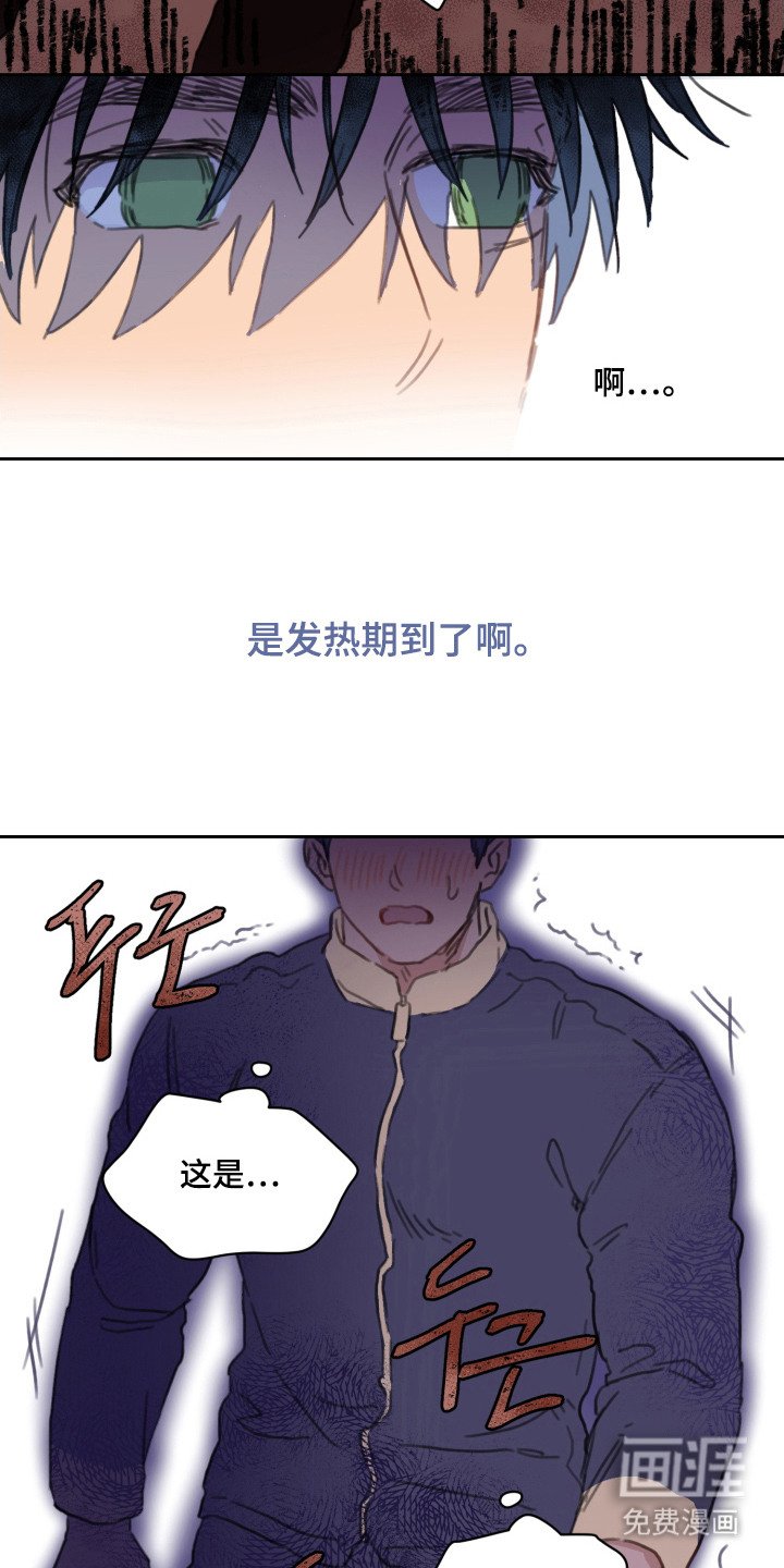 第15章：发热期