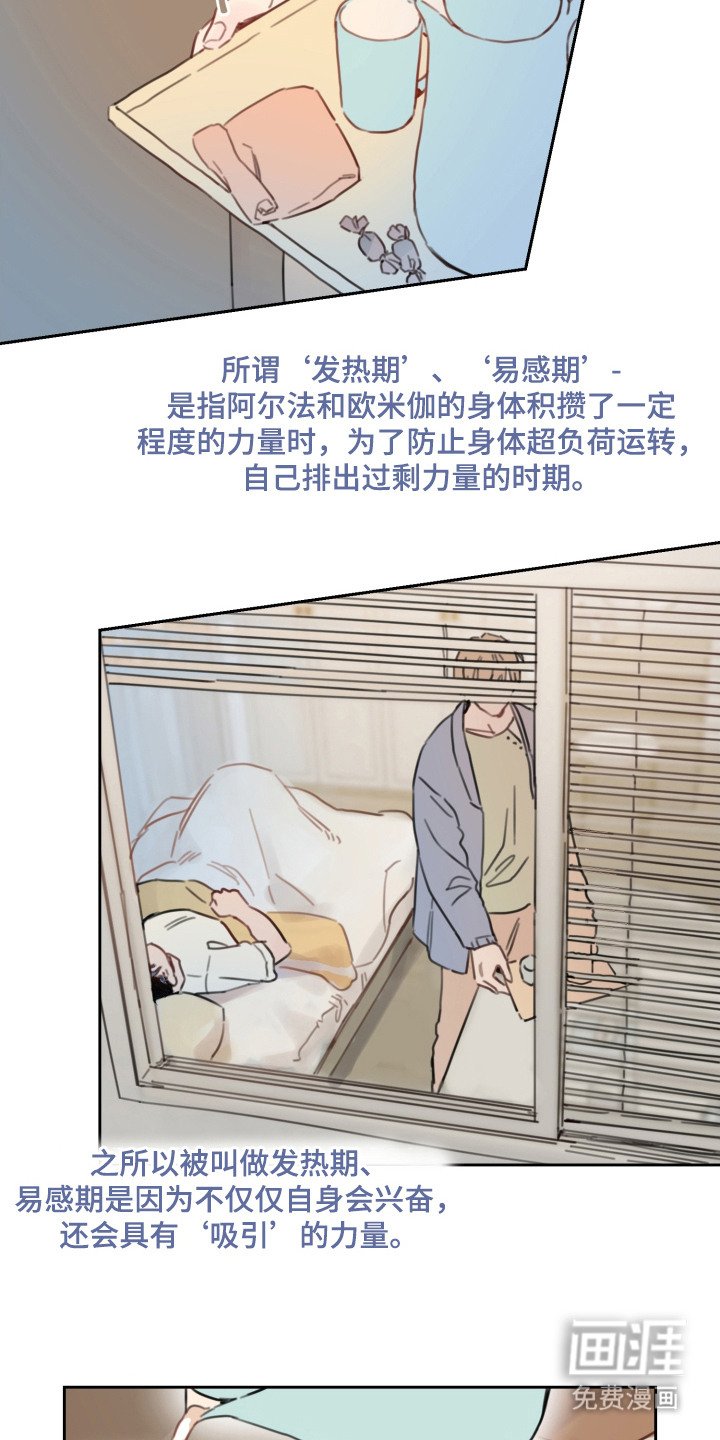 第15章：发热期