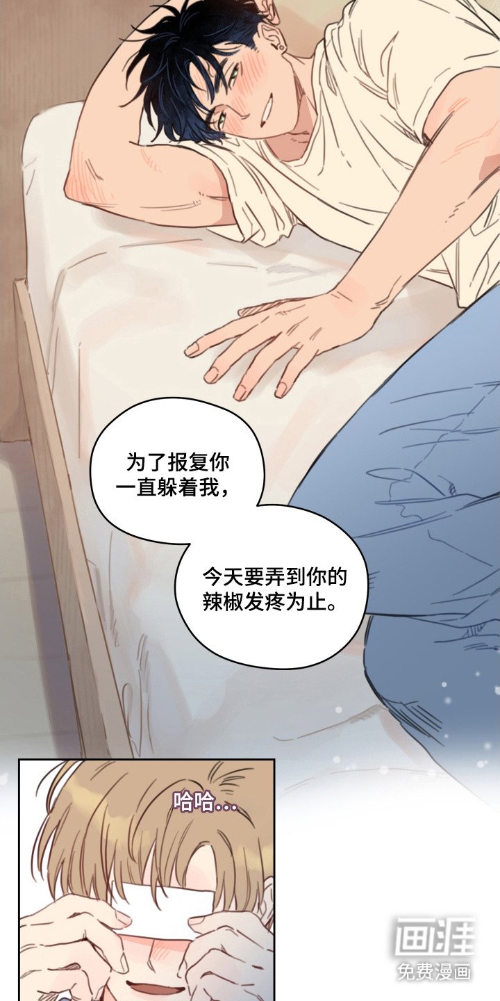 第15章：发热期