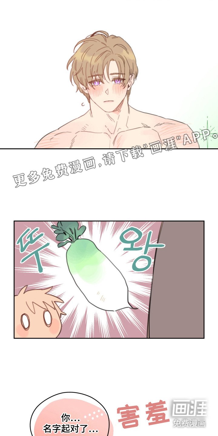 第17章：心满意足