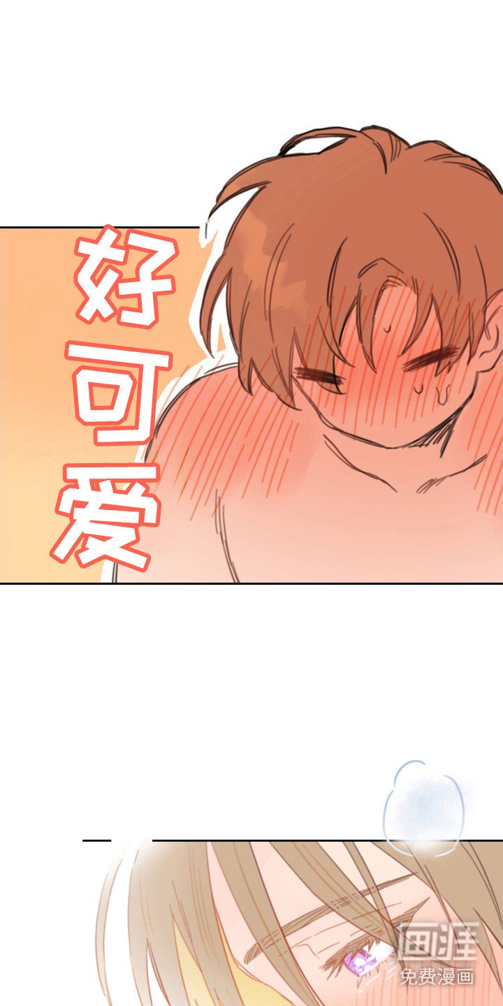 第17章：心满意足