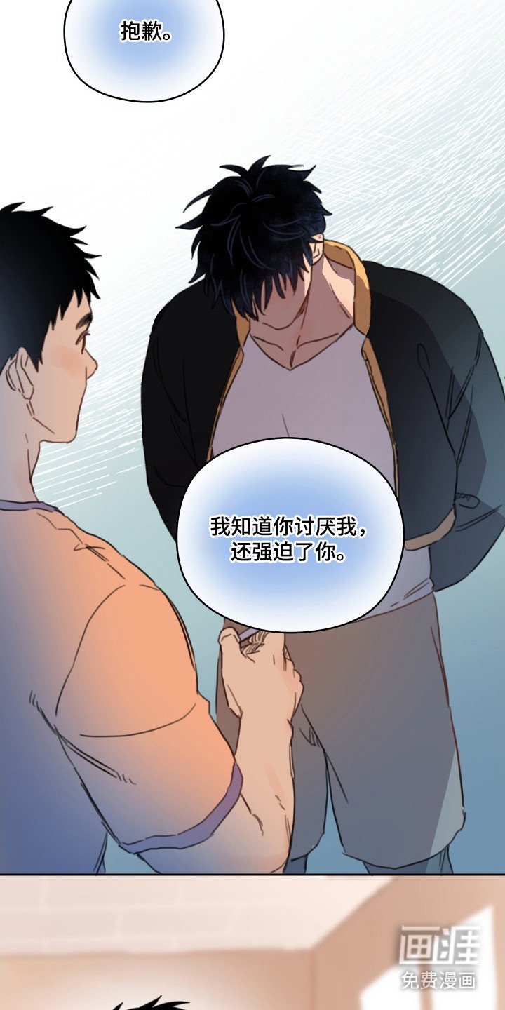 第19章：道歉