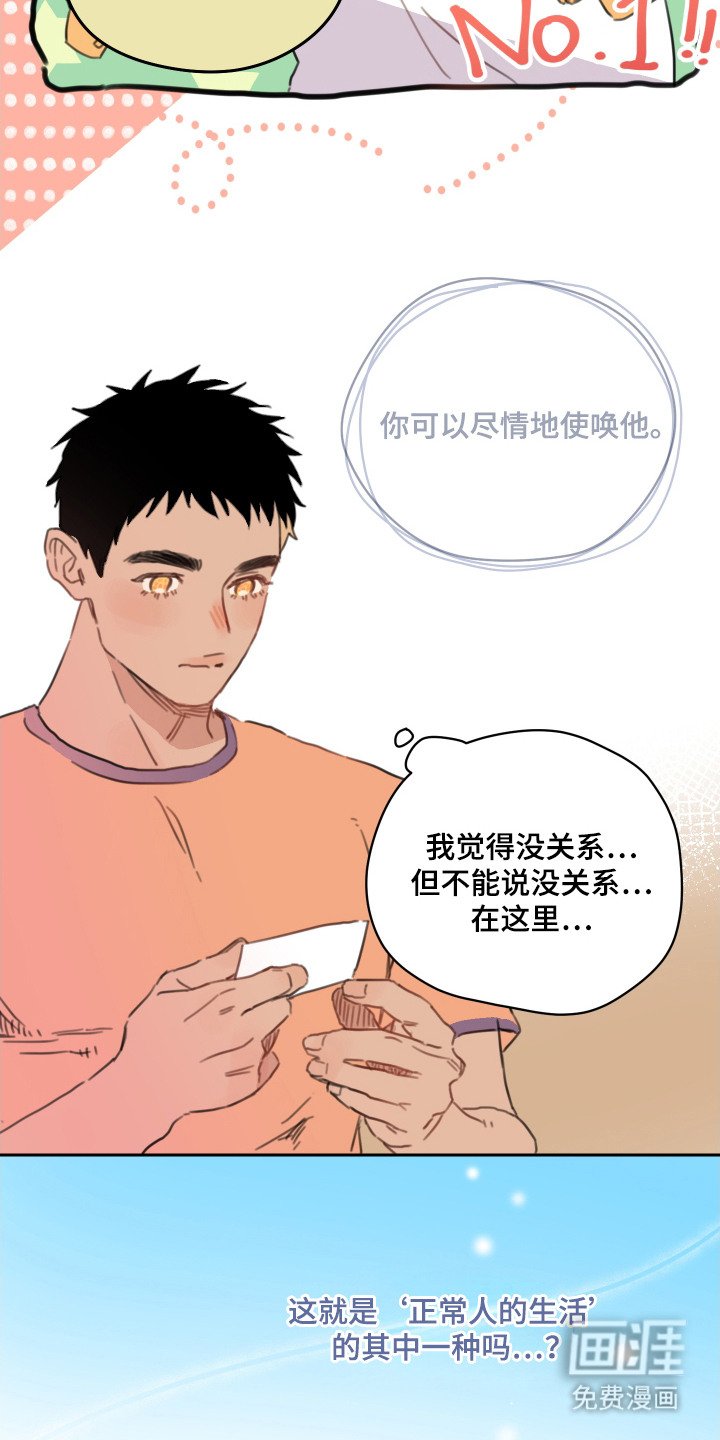 第19章：道歉