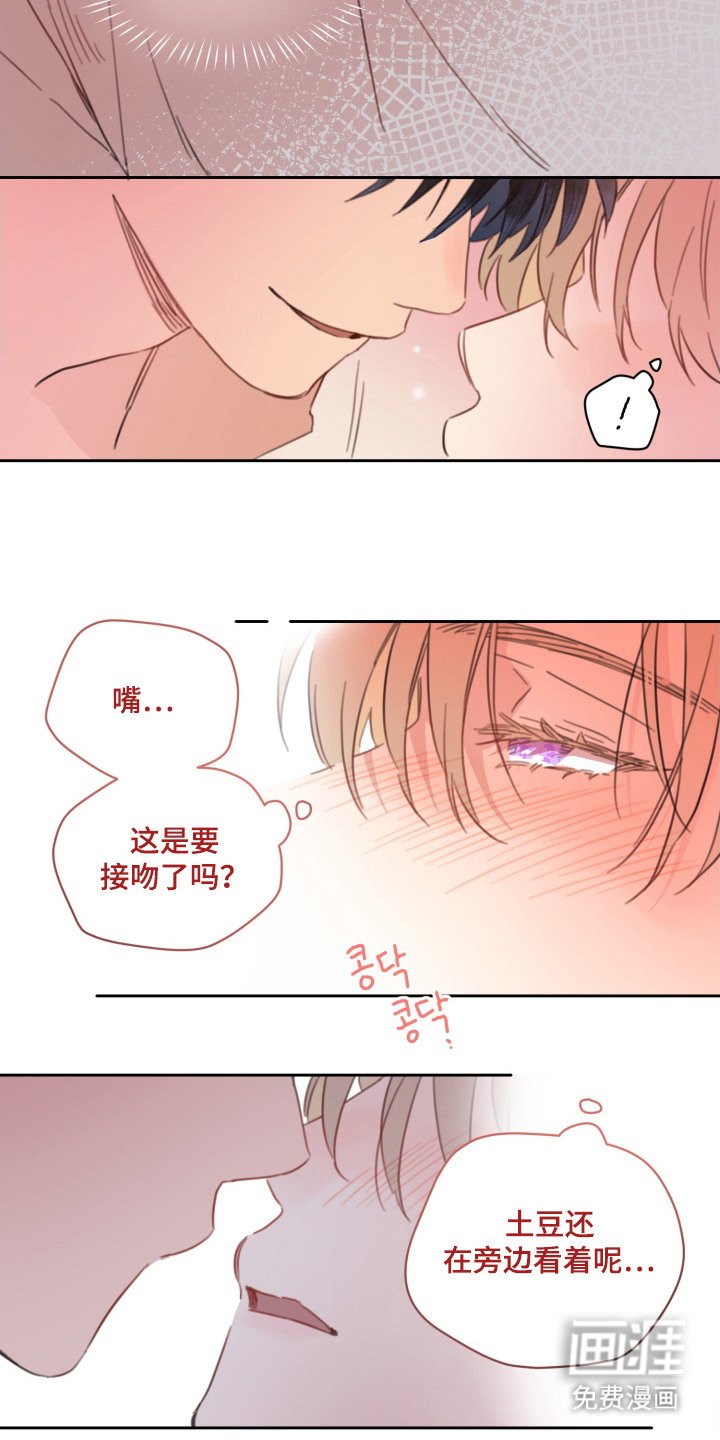 第21章：期待着