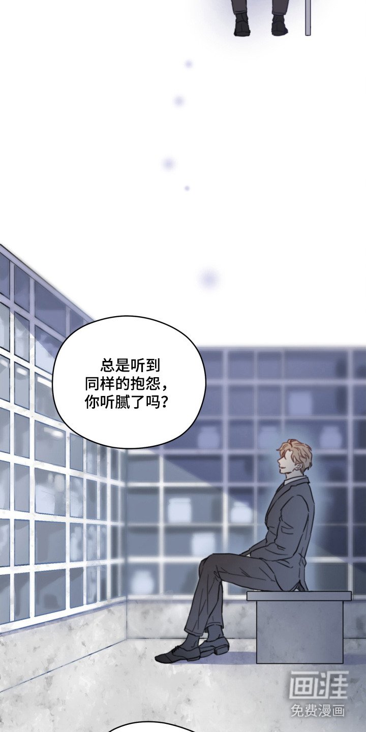 第22章：怀念（完结）