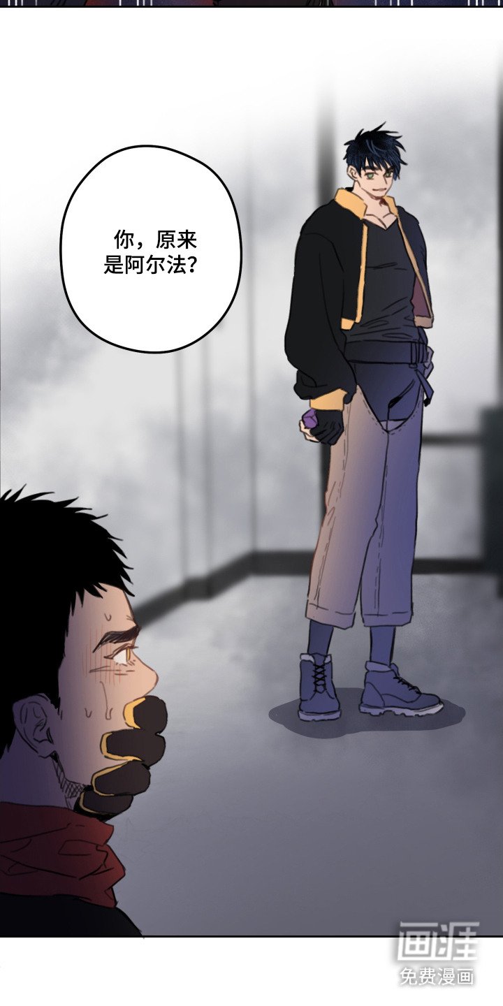 第3章：漂亮的眼睛