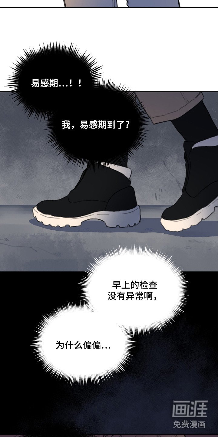 第3章：漂亮的眼睛