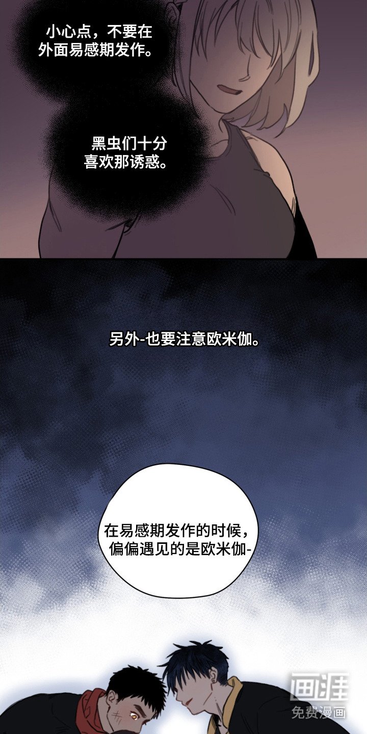 第3章：漂亮的眼睛