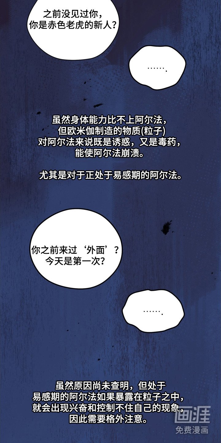 第3章：漂亮的眼睛