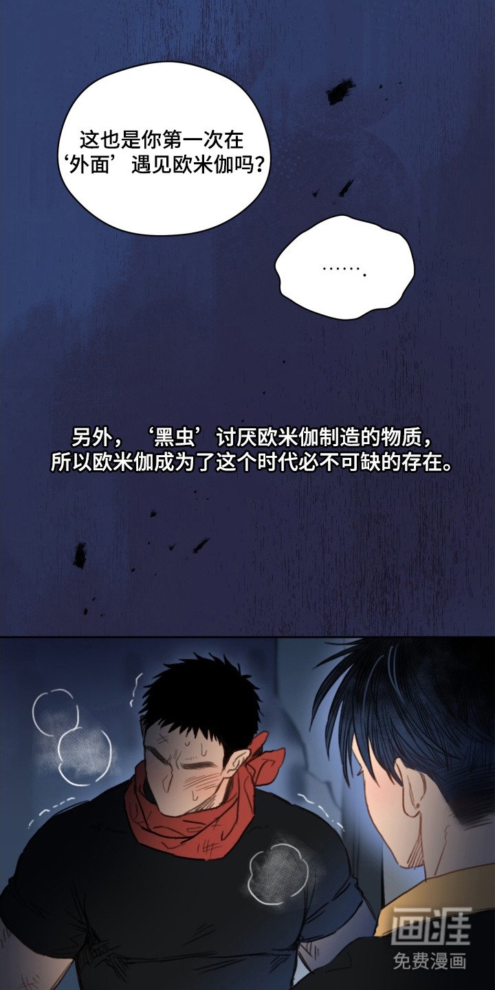 第3章：漂亮的眼睛