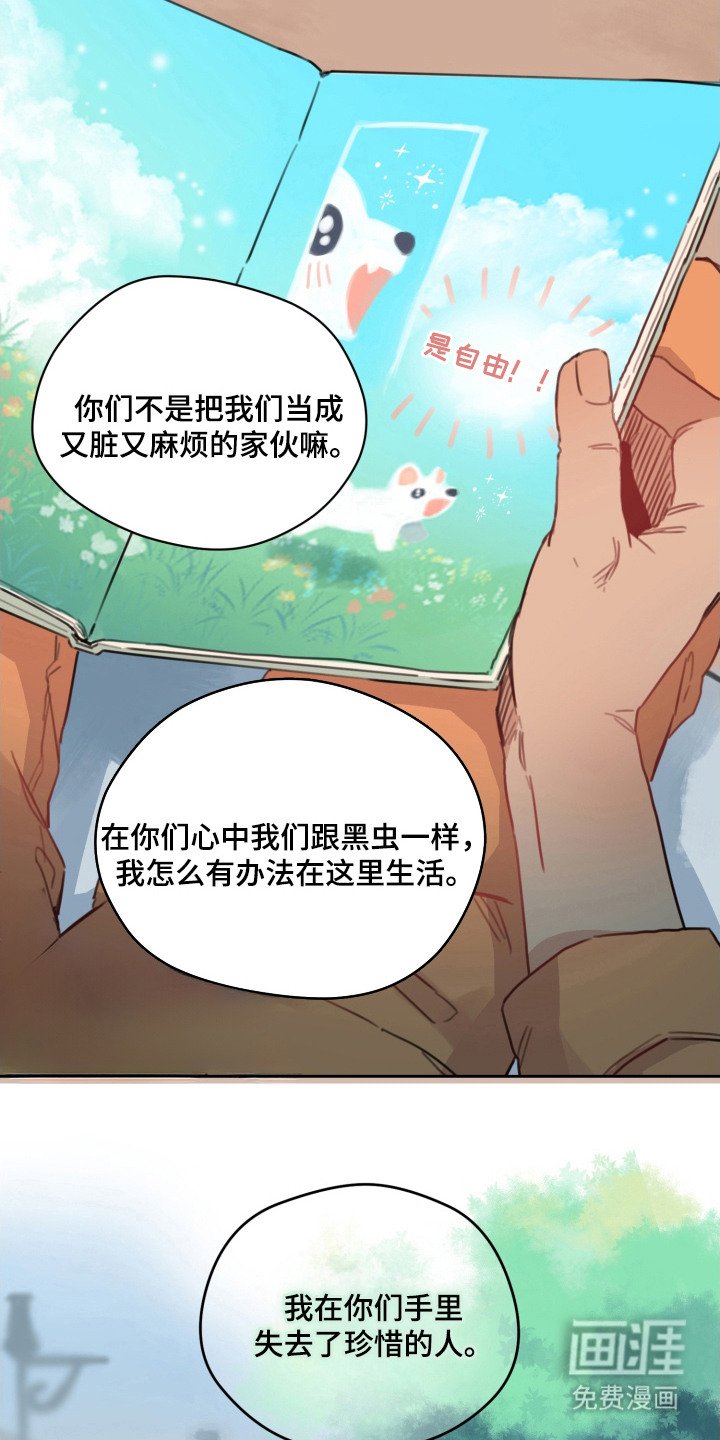 第9章：好主意